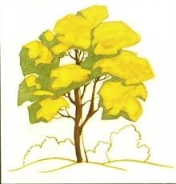 Картинки по запросу малюнок дерево